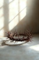 Crown of thorns on light background with dramatic window shadows, religious symbol representing sacrifice and suffering, spiritual concept for Easter and faith.