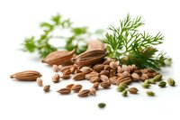 Fresh dill sprigs with scattered brown caraway and green cardamom seeds on white background, macro food photography for culinary and spice designs.