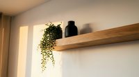 Wooden shelf with trailing pothos plant and black vase against white wall, warm lighting, modern home decor and interior design styling.