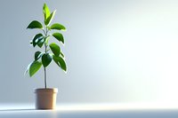 Young green plant growing in brown pot against light minimalist background with soft shadow, symbolizing growth, new beginnings and sustainability.