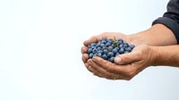 Male hands holding fresh blueberries against white background, suitable for food, agriculture, harvest, and healthy eating marketing materials.