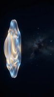 Translucent glass-like organic form with golden light reflections floating in deep space with stars and cosmic dust particles in dark blue background.