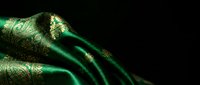 Luxurious emerald green silk fabric with ornate golden paisley pattern flowing elegantly against dark background for premium textile design projects.