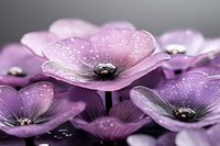 Delicate purple anemone flowers with water droplets in close-up view, creating dreamy and romantic atmosphere against dark background. Soft selective focus.