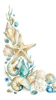 Watercolor coastal arrangement featuring starfish, seashells, sand dollars, and seaweed in cream, gold, and teal tones on isolated white background. Perfect for beach-themed designs.
