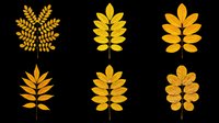 Six golden autumn compound leaves isolated on transparent background, perfect for fall clipart, t-shirt design, stickers, sublimation, and print on demand projects.