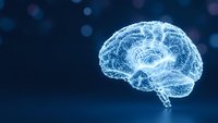 Digital brain made of glowing blue particles and neural networks on dark background for artificial intelligence and neuroscience concepts.