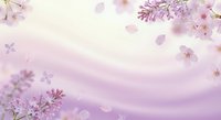 Soft pink cherry blossom petals floating on dreamy pastel background with delicate spring flowers and gentle light rays for romantic designs.