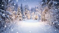 Snowy forest path lined with frost-covered evergreen trees and falling snowflakes, creating a serene winter landscape for holiday and seasonal designs.