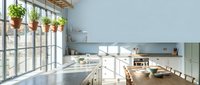 Modern kitchen with white cabinetry, hanging plants by large windows, and natural light streaming across countertops, ideal for home design and interior decoration projects.