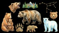 Watercolor bear clipart set isolated on transparent background, featuring grizzly, polar bear, mother with cub, paw print, constellation, and forest scene for print on demand.