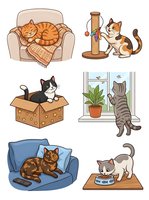 Cartoon cats in various playful situations including sleeping on armchair, playing with scratching post, sitting in cardboard box, looking out window, relaxing on couch and eating from bowl. Isolated clipart set for design projects.
