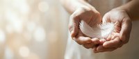 Gentle hands cupping delicate white feather symbolizing peace, hope and spiritual protection in soft warm light for wellness and mindfulness concepts.