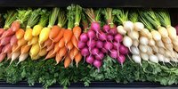 Fresh colorful root vegetables arranged in rows including orange, yellow, and white carrots, purple radishes, and white turnips with green tops on dark background.