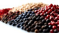 Fresh assorted peppercorns in rows including pink, black, white and green varieties on white background, macro food photography showing texture and detail.