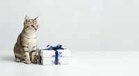 Tabby cat sitting next to wrapped gift box with blue ribbon on white background, isolated for greeting cards and holiday designs.