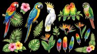 Colorful tropical parrots and exotic birds clipart set with feathers and tropical flowers, isolated on transparent background, ready for stickers, t-shirt design, and print on demand.