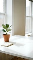 Small potted plant and notebook on white desk by window with natural light creating peaceful workspace atmosphere for productivity and focus.