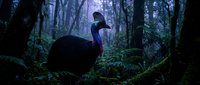 Young woman in black dress sitting on forest rock surrounded by mystical purple-tinted woodland atmosphere with moss and ferns.