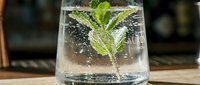 Refreshing sparkling water with fresh mint leaves in clear glass on wooden surface. Healthy hydration drink with bubbles and green herb garnish.