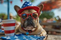 French bulldog wearing red sunglasses and patriotic American flag hat relaxing outdoors with stars and stripes decorations and party cup for July 4th celebration.