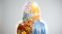 Woman silhouette with double exposure of four seasons nature scenes showing spring flowers, summer sun, autumn leaves and winter snow landscape.