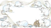 White laboratory rats frame border with cheese and tea cups on beige background for scientific research educational materials and veterinary studies.