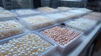 Fresh eggs displayed in organized trays at commercial poultry farm or wholesale market ready for distribution and sale to consumers.