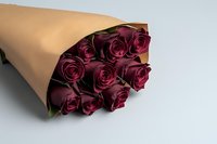 Bouquet of deep burgundy roses wrapped in kraft paper on light background, perfect for romantic occasions or floral design projects.