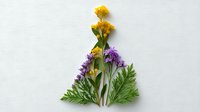 Fresh spring wildflowers and green leaves arranged in triangular shape on white background, creating minimalist botanical composition for nature-inspired design.