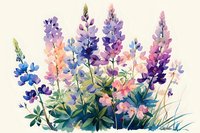 Watercolor lupines in soft purple, pink and blue hues with green foliage, painted in loose artistic style on light background. Floral arrangement for spring designs.