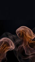 Abstract flowing smoke waves in warm orange and pink tones against dark background creating elegant fluid motion for modern design projects.
