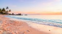 Serene tropical beach at sunrise with pink sand, gentle waves, and palm trees along the shoreline, perfect for travel and vacation marketing.