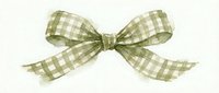 Green gingham checkered fabric bow tie ribbon isolated on white background for craft projects, gift wrapping and decorative design elements.