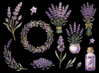 Lavender flowers isolated on transparent background, ready for t-shirt design, clipart, stickers, sublimation and print-on-demand products.