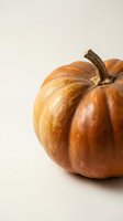 Fresh orange pumpkin with natural stem on neutral background for autumn harvest decoration, thanksgiving cooking and seasonal fall designs.