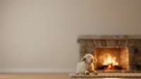Cozy dog sitting by fireplace with warm glowing fire, relaxing pet in comfortable home interior setting for lifestyle and comfort themes.