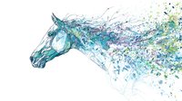 Artistic horse profile with flowing turquoise and purple paint splatter effect creating dynamic motion. Perfect for creative equestrian designs.