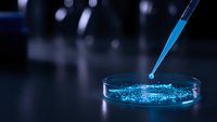 Laboratory pipette dropping blue liquid into petri dish for scientific research and medical testing in modern lab environment.