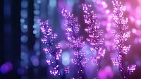 Glowing purple floral branches with soft bokeh lights creating magical atmosphere against dark background, dreamy nature photography for romantic designs.
