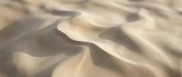 Smooth golden sand dunes with flowing curves and soft shadows creating natural desert landscape patterns for backgrounds and textures.