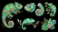 Colorful chameleons and reptiles isolated on transparent background, ready for t-shirt design, clipart, stickers, sublimation, and print-on-demand projects.