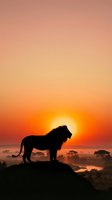 Lion silhouette standing on rocky outcrop at sunrise over African savanna landscape with golden sun and misty terrain below for wildlife and nature themes.