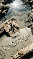 Flip flops on wet sand with vacation written in colorful pebbles, starfish in a rocky tide pool, summer travel and beach holiday concept.