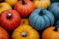 Colorful autumn pumpkins in orange, yellow and teal blue with water drops, arranged in decorative composition for seasonal harvest and Halloween decoration.