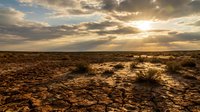 Arid desert landscape with cracked earth and sparse vegetation under dramatic golden sunset sky with clouds and sun rays.