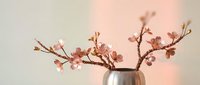 Cherry blossom branches in modern vase against soft pastel background creating peaceful spring home decor atmosphere for interior design projects.