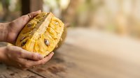 Person holding fresh cut pineapple slice outdoors, showing tropical fruit harvest and agricultural produce for food, nutrition, and farming concepts.