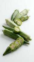 Fresh okra pods whole and sliced showing seeds on white background isolated for cooking recipes healthy eating organic vegetable ingredient culinary design.