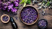 Purple dried flower petals in wooden bowls with essential oil bottle on rustic dark table, fresh blooms and herbs arranged for aromatherapy and natural spa treatment.